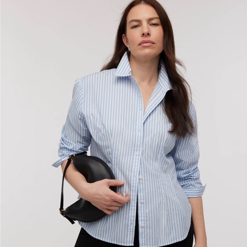 Madewell powder blue stripes Darted Long-Sleeve Button-Up Shirt